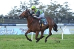 Schofield Wants Manawanui In Golden Rose Schofield Wants Manawanui In Golden Rose