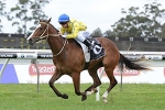 Favourite Assail Scratched from Magic Millions