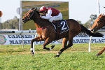 Pinwheel Rolling Towards Australia Stakes Pinwheel Rolling Towards Australia Stakes