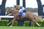 Karuta Queen Back At Best For San Domenico Karuta Queen Back At Best For San Domenico