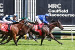 Pericles Breaks Group 1 Maiden in Futurity Stakes; Sets Sights on All-Star Mile Showdown