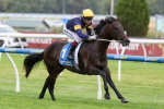 Big Sky Heads Betting for Thrilling 2026 Blue Diamond Stakes Clash
