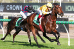 Sir Delius Storms Home to Clinch 2025 Turnbull Stakes, Overtakes Via Sistina as Cox Plate Favourite