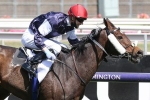 2020 Melbourne Cup Winner: Twilight Payment Salutes at 26-1 2020 Melbourne Cup Winner: Twilight Payment Salutes at 26-1
