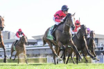 Class Fillies Biologics, Apocalyptic, and Within The Law Top Thousand Guineas 2025 Nominations