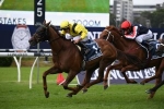 2021 Queen Elizabeth Stakes Winner: Addeybb Goes Back to Back, Verry Elleegant Runs Second 2021 Queen Elizabeth Stakes Winner: Addeybb Goes Back to Back, Verry Elleegant Runs Second