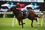 Converge Firms in Champagne Stakes Betting Following Impressive Fernhill Win Converge Firms in Champagne Stakes Betting Following Impressive Fernhill Win
