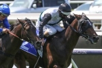 2020 Melbourne Cup Day Live Results & Analysis: Exhilarates Salutes Second-Up in the Last of the Day 2020 Melbourne Cup Day Live Results & Analysis: Exhilarates Salutes Second-Up in the Last of the Day