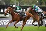 2021 Australian Oaks Winner: Hungry Heart Claims Win No. 4 for Chris Waller 2021 Australian Oaks Winner: Hungry Heart Claims Win No. 4 for Chris Waller