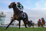 2025 Memsie Stakes Results: Treasurethe Moment Wins, Firms in Cox Plate Betting