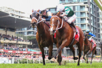 Immortal Queen: Via Sistina Wins Final Valley Cox Plate in Historical Thriller