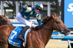 Jimmysstar Primed for Group 1 Return in William Reid Stakes 2026