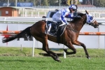 2020 Toorak Handicap Winner: Cantala Stakes Up Next for Long Shot Winner Mr Quickie 2020 Toorak Handicap Winner: Cantala Stakes Up Next for Long Shot Winner Mr Quickie