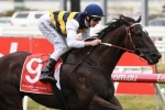 Night’s Watch Into Caulfield Cup With Naturalism Stakes Win Night’s Watch Into Caulfield Cup With Naturalism Stakes Win