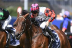 Trans-Tasman Target: Ohope Wins Backed for Australian Oaks Glory