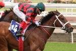 2020 Coolmore Stud Stakes Winner: Filly September Run Upstages the Boys 2020 Coolmore Stud Stakes Winner: Filly September Run Upstages the Boys