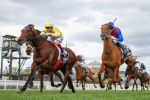 Sir Delius Wins Underwood Stakes 2025, Firms in Melbourne Cup Betting