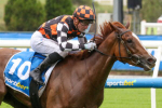 Updated 2025 Magic Millions 3YO Guineas Betting