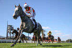 Statuario Heads Ladbrokes Queensland Derby 2025 Field & Betting