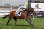2019 Newmarket Handicap Results: Sunlight Wins 2019 Newmarket Handicap Results: Sunlight Wins