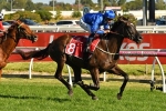 Avilius has perfect preparation for 2019 Australian Cup