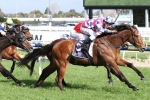 Oakleigh Plate An Option For Fell Swoop