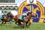 Lumosty In Ideal Darley Classic Form