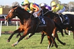 Smith says Kingdoms is the right horse for the Metropolitan