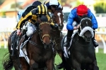 Shoreham Primed for Hawkesbury Gold Cup