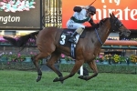 Extra Zero steps out for start 101 at Moonee Valley