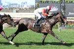 Azazel Primed for McKenzie Stakes