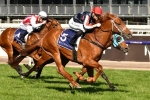 Dalasan draws horror barrier in 2019 Caulfield Guineas