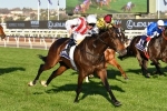 No Everest for Gilgai Stakes winner Zoutori