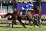 Avilius confirms favouritism for 2019 Australian Cup