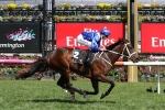 Winx to face off against 8 challengers in 2018 Chipping Norton Stakes field Winx to face off against 8 challengers in 2018 Chipping Norton Stakes field