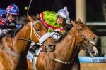 Richie’s Vibe over the odds in Australia Stakes