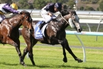 Price Duo To Improve From McNeil Stakes Run