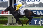 Cellsabeel out of Golden Slipper favour after Black Opal defeat