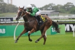 Mossfun Included In Light Fingers Stakes Nominations