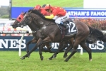 Russian Revolution Primed for McEwen Stakes