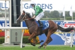 Mossfun Second In Barrier Trial