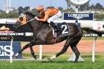 Tangled had straight forward preparation for 2017 Victoria Derby