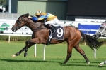 Cosmic Endeavour Impresses Waterhouse With Trial Win