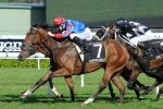 Diamond Drille causes huge upset in the Queen Of The Turf Stakes 2014