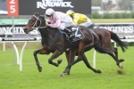 Destiny’s Kiss On Top Of Newcastle Gold Cup Field