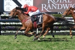 A Stradbroke Handicap start on offer for Fred Best Classic winner Military Zone