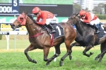 Redzel still in contention for The Everest 2018