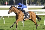 Turnbull Stakes Nominations Feature Hartnell Turnbull Stakes Nominations Feature Hartnell