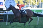 Dreamforce in form for Epsom Handicap with all the way win in 2019 Tramway Stakes