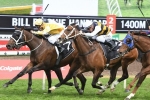 Corey gets call up for Tom Melbourne in A.D. Hollindale Stakes